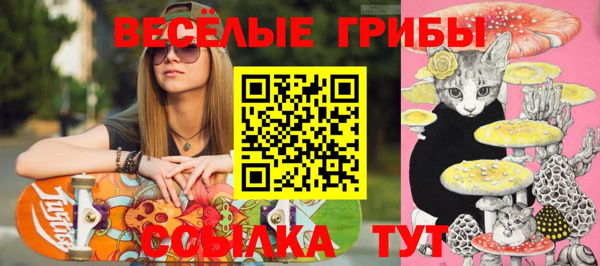 Гусиноозёрск  Псилоцибиновые грибы мицелий  Вход с VPN 