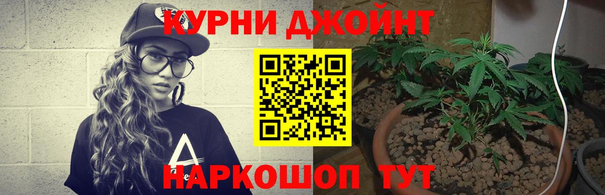 МАРИХУАНА план  Бошки марихуана AK-47  Вход с VPN  Каннабис AK-47  Гусиноозёрск  Каннабис White Widow 